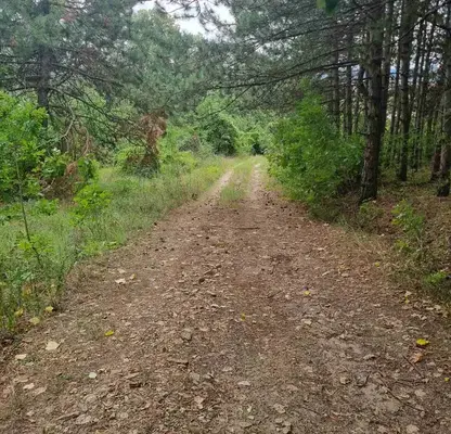 Photo 2 — Agricultural Land in Oblast Varna, Aksakovo
