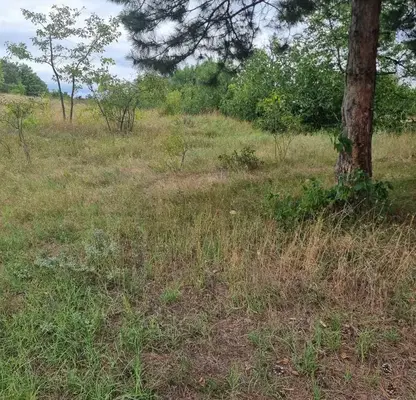 Photo 4 — Agricultural Land in Oblast Varna, Aksakovo