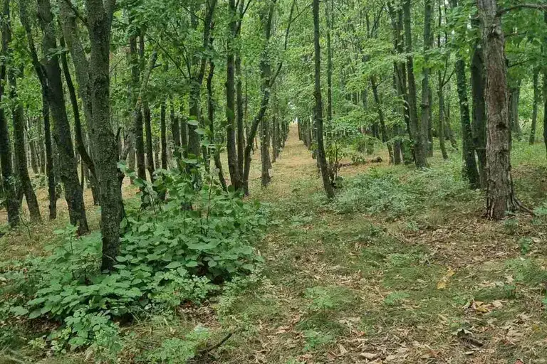 Agricultural Land in Oblast Varna, Aksakovo