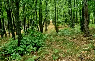 Земеделски имот във Варна, Аксаково
