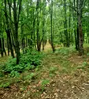 Земеделски имот във Варна, Аксаково