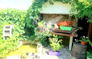 Хотел в Бургас, Черноморец