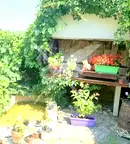 Хотел в Бургас, Черноморец