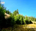 Снимка 2 — Хотел в Смолян, к.к. Пампорово