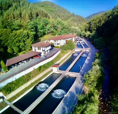 Photo 3 — Hotel in Oblast Smolyan, Beden