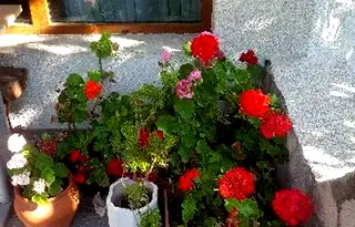Хотел във Варна, Дългопол