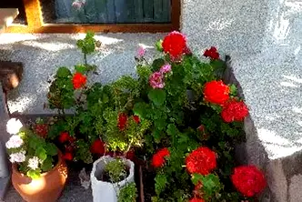 Хотел във Варна, Дългопол