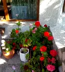 Хотел във Варна, Дългопол