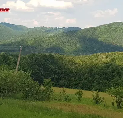 Photo 4 — Hotel in Oblast Veliko Tyrnovo, Elena