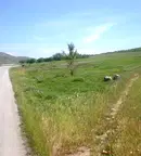 Земеделски имот в Пазарджик, с. Черногорово