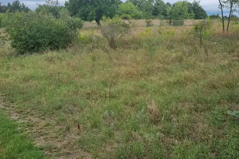 Agricultural Land in Oblast Varna, м-т Перчемлията