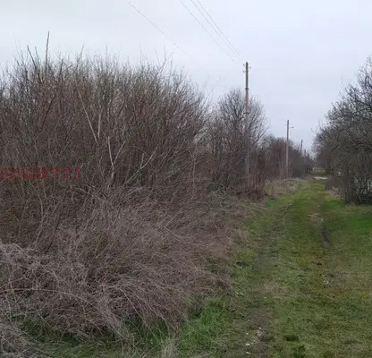 Photo 2 — Agricultural Land in Oblast Varna, Bliznaci