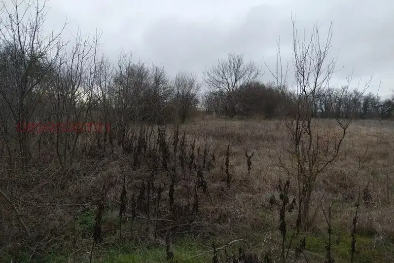 Agricultural Land in Oblast Varna, Bliznaci