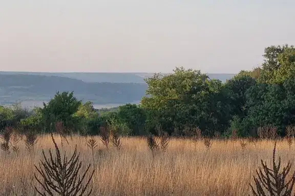 Agricultural Land in Oblast Varna, м-т Перчемлията