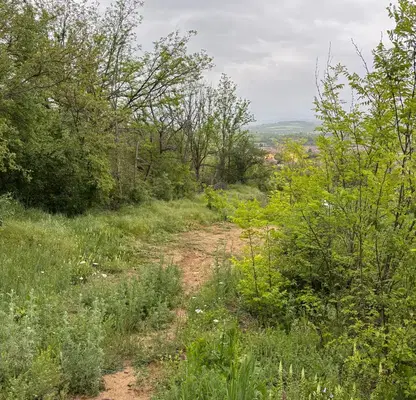 Photo 4 — Agricultural Land in Oblast Veliko Tyrnovo, Elena