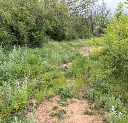 Photo 5 — Agricultural Land in Oblast Veliko Tyrnovo, Elena