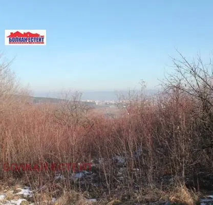 Photo 3 — Abandoned Arable Land in Veliko Tyrnovo, Arbanasi