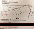 Снимка 2 — Земеделски имот във Видин, с. Големаново