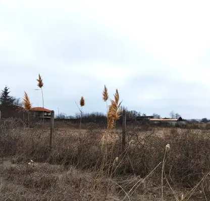 Photo 2 — Agricultural Land in Oblast Burgas, Tynkovo