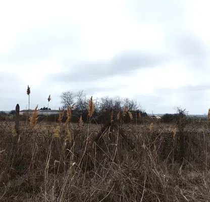 Photo 3 — Agricultural Land in Oblast Burgas, Tynkovo