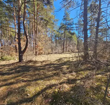 Photo 2 — Agricultural Land in област София, Dolni Pasarel