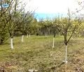 Снимка 5 — Къща в Студентски