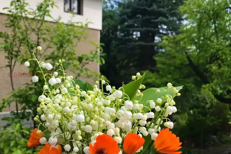 Къща в Студентски