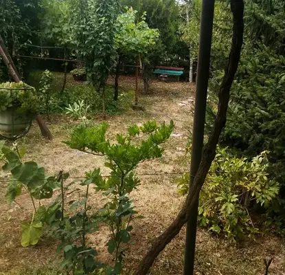 Photo 3 — House in Студентски