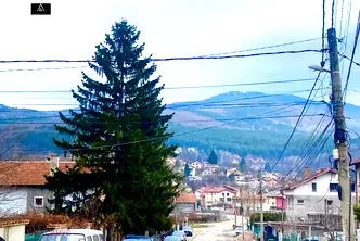 Къща в с. Владая