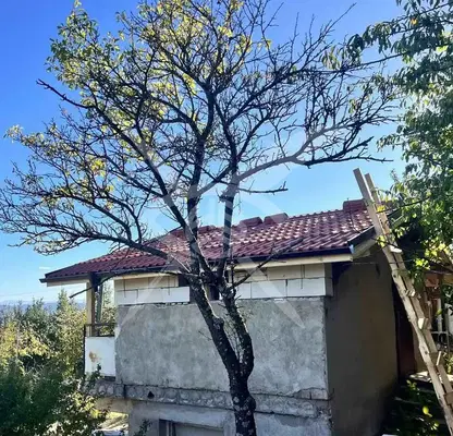 Photo 2 — House in Jelyava