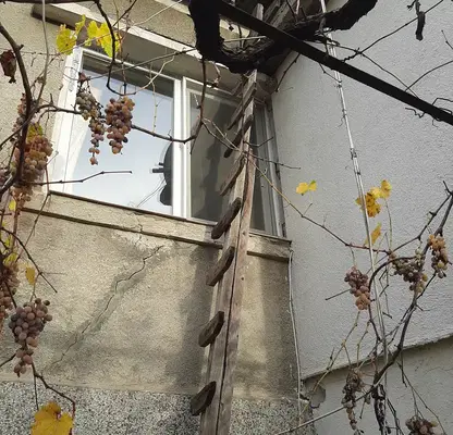Снимка 4 — Къща в Кърджали, Байкал