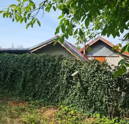 Photo 3 — House in Ruse, Basarbovo