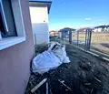 Снимка 4 — Къща в Пловдив, Беломорски