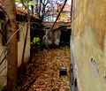 Снимка 5 — Къща в Кюстендил, Бузлуджа