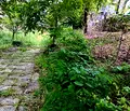 Снимка 5 — Къща в Шумен, Център