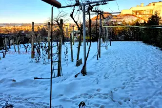 Къща в Раз, Център