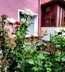 Къща в Стара Загора, Център