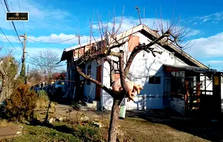 Къща в Русе, Чародейка - Север