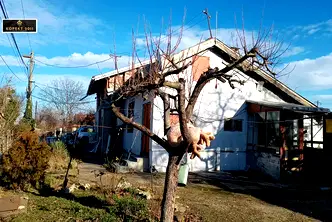 Къща в Русе, Чародейка - Север