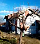Къща в Русе, Чародейка - Север