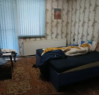 Снимка 4 — Къща в Кюстендил, Герена