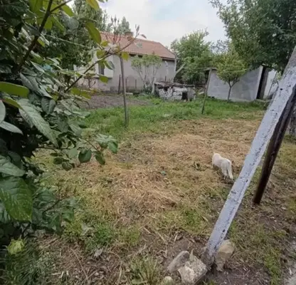 Снимка 2 — Къща в Кърджали, Гледка