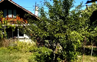 Къща в Перник, Калкас