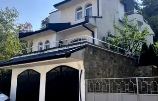 Къща във Враца, Кемера - Художник