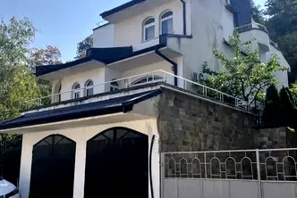 Къща във Враца, Кемера - Художник