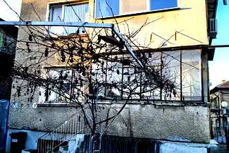 Къща в Перник, Клепало