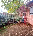 Къща във Варна, Колхозен пазар