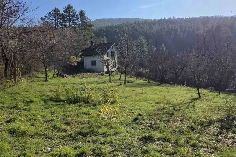 Къща в Кюстендил, Колуша