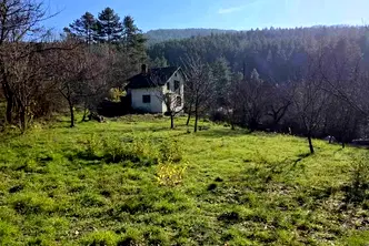 Къща в Кюстендил, Колуша