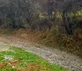 Снимка 4 — Къща в Кюстендил, Колуша